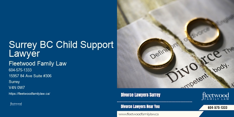 Surrey BC Child Support Lawyer BC Family Law Guidance