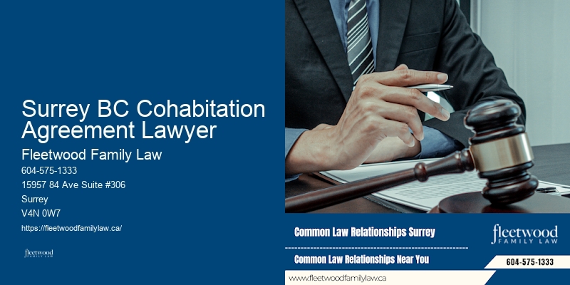 Surrey BC Cohabitation Agreement Lawyer BC Family Law Attorney