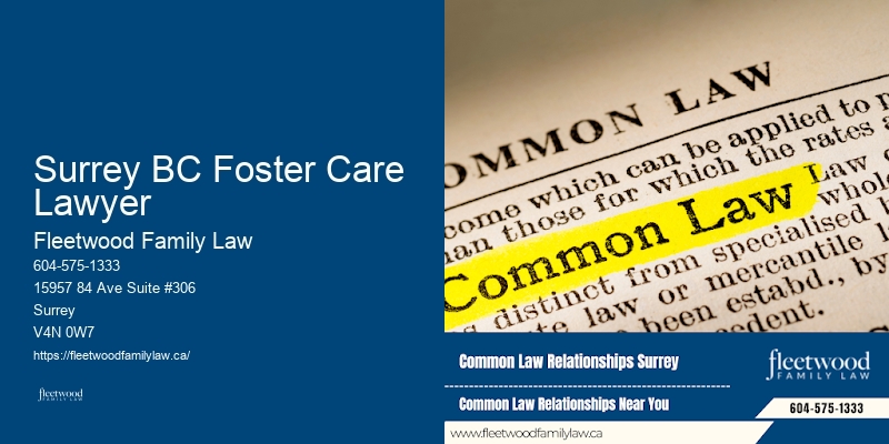 High Conflict Divorce Management Surrey BC Foster Care Lawyer BC