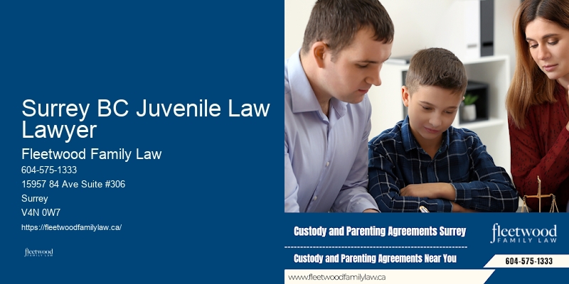 Family Law Online Consultation Surrey BC Juvenile Law Lawyer BC