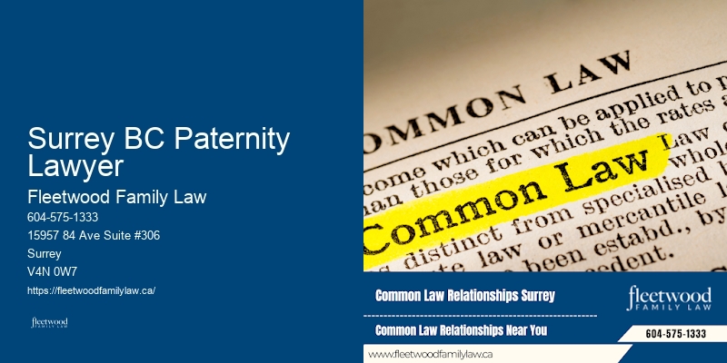 Surrey BC Paternity Lawyer BC Marriage Separation Lawyer