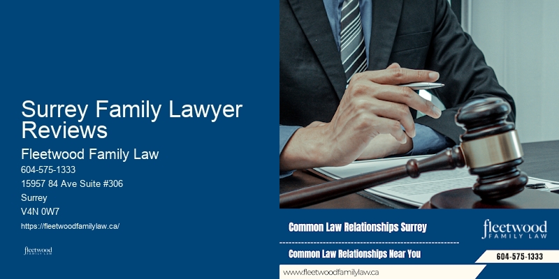 Surrey Family Lawyer Reviews BC Child Access Lawyer