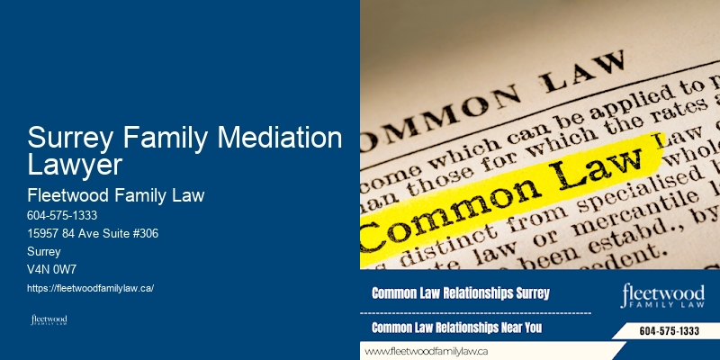 Surrey Family Mediation Lawyer BC Family Law Attorney