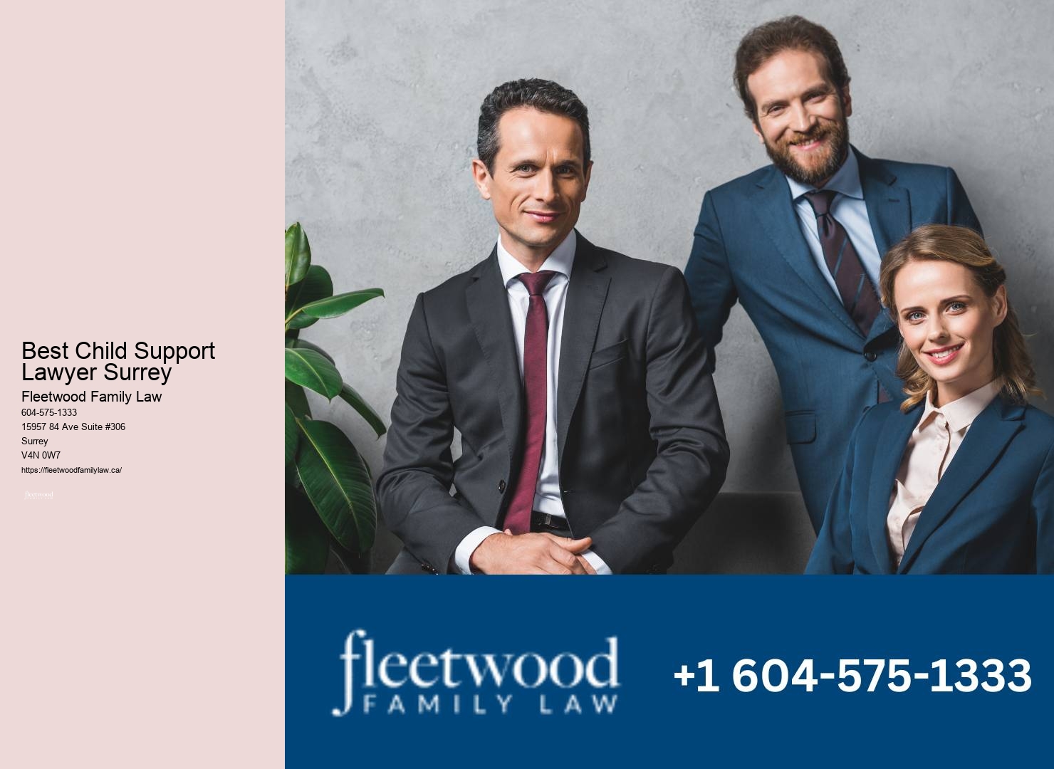 Best Child Support Lawyer Surrey Family Legal Aid