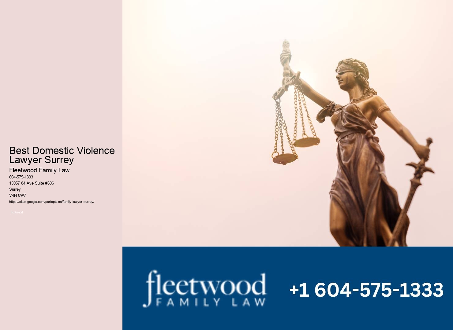 Reputable Family Lawyer Best Domestic Violence Lawyer Surrey