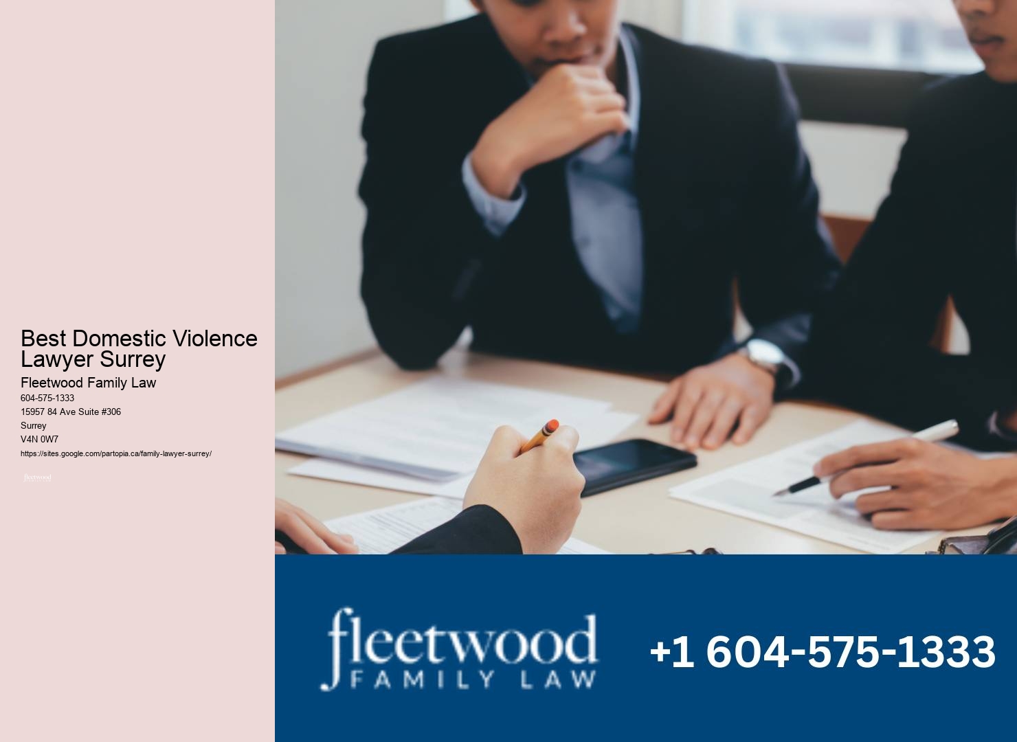 Child Custody Lawyer Best Domestic Violence Lawyer Surrey