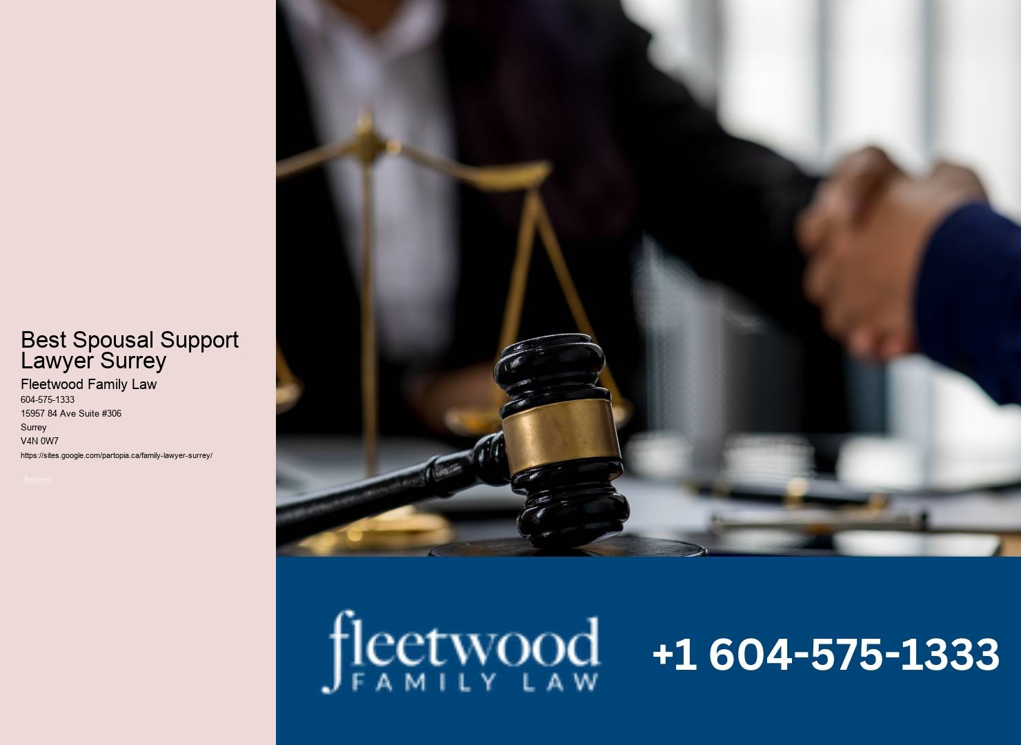 Best Spousal Support Lawyer Surrey Domestic Violence Advice