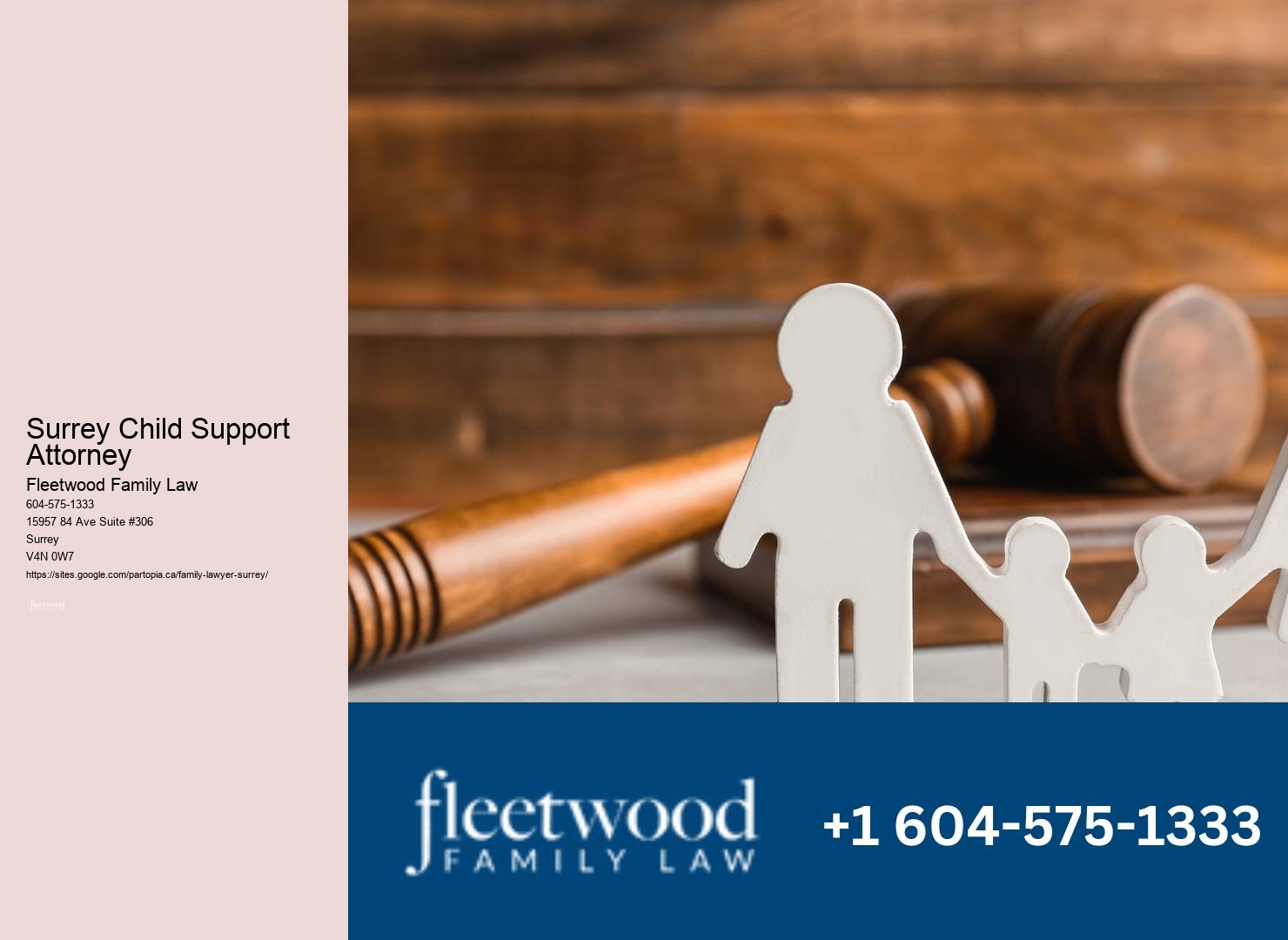 Professional Surrey Child Support Attorney Family Law Support
