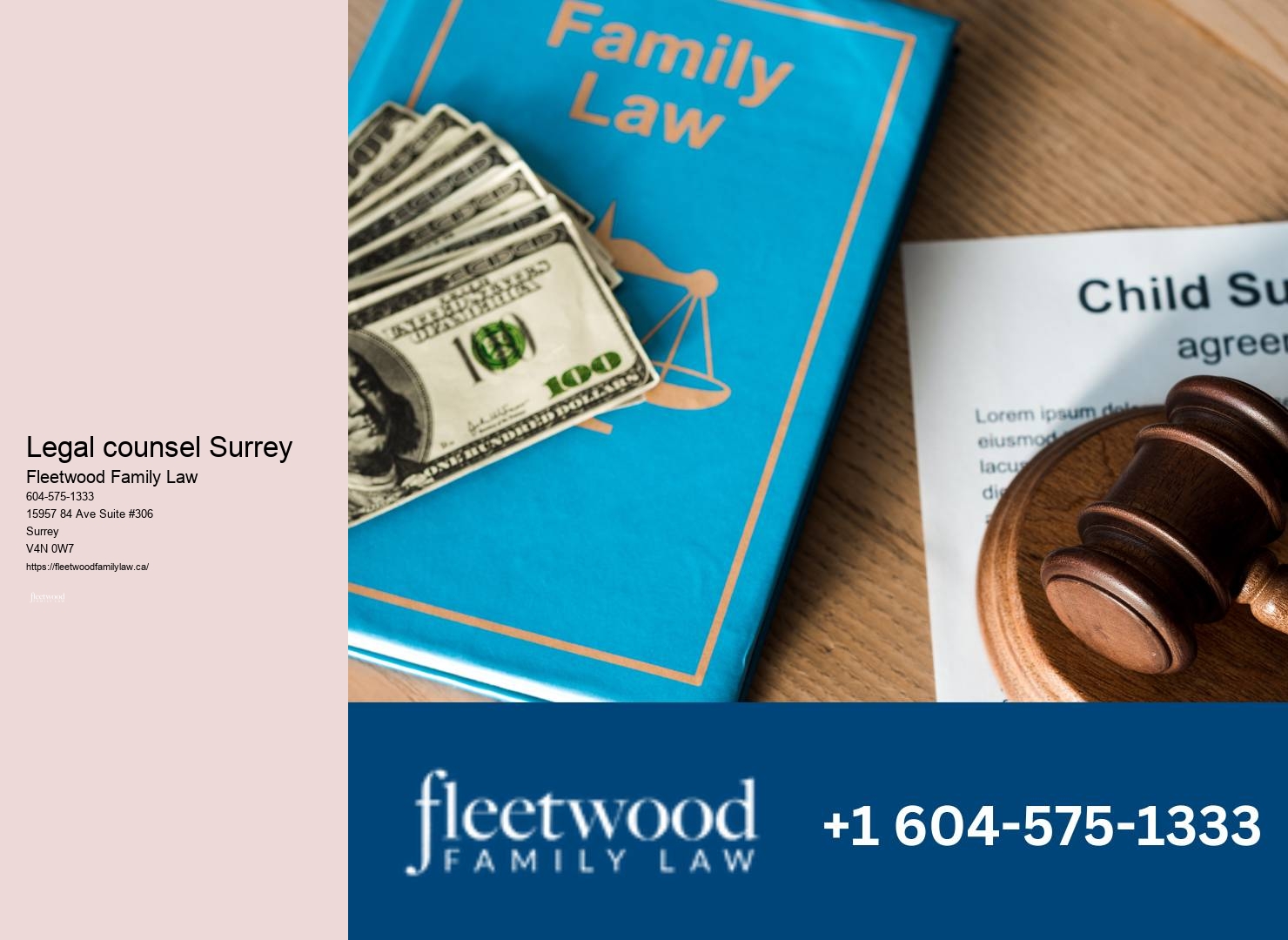 Surrey family legal representation