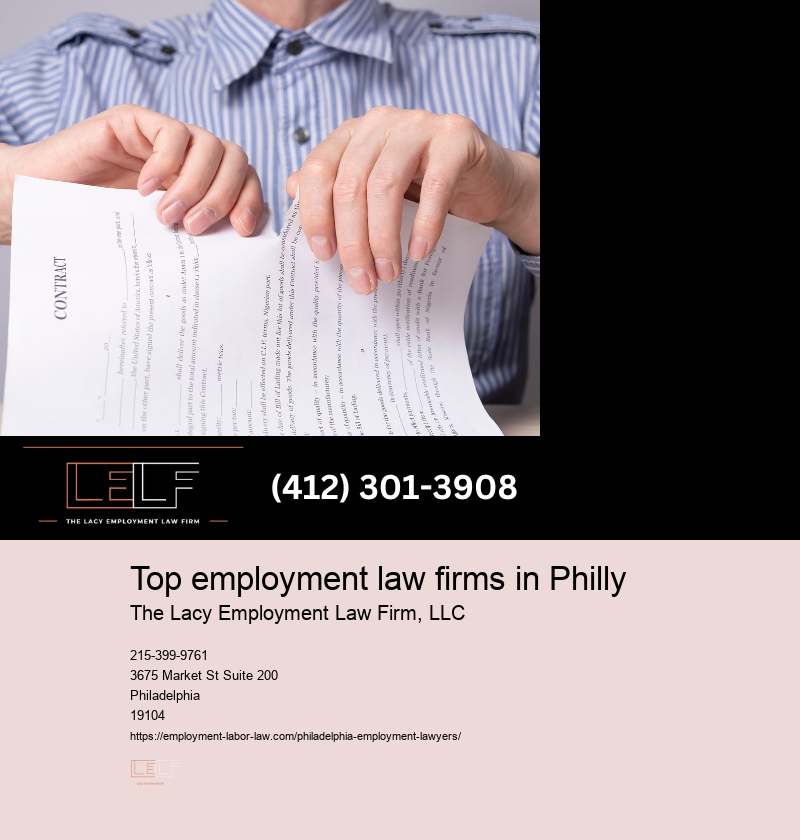 Philly Employment Law Consultation Services