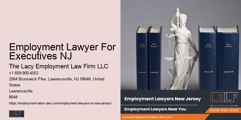 Employment Lawyer For Executives NJ