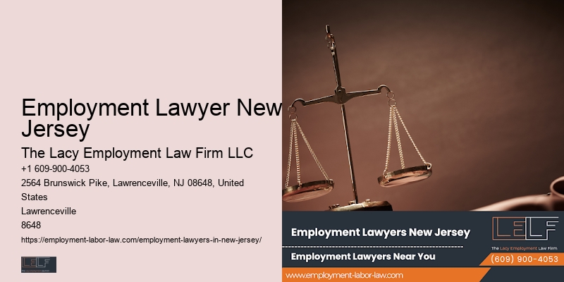 Employment Lawyer New Jersey Employment Lawyer For Professionals