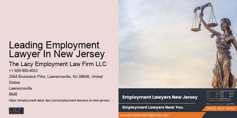 Leading Employment Lawyer In New Jersey Employment Litigation Expert