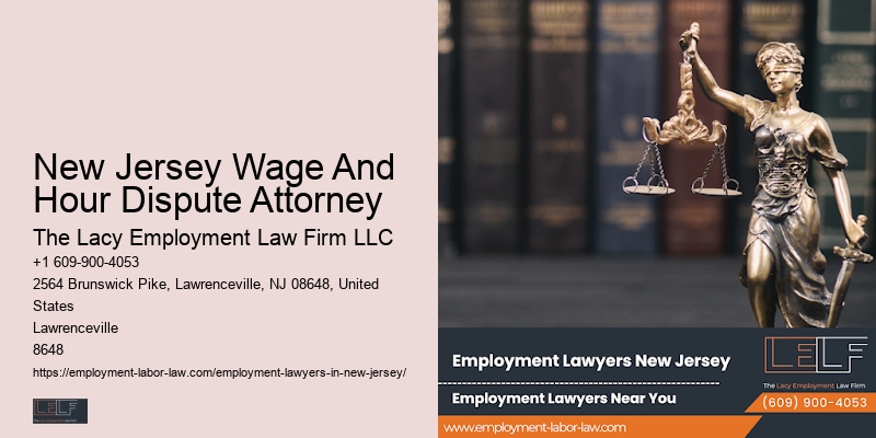 NJ Public Sector Employment Lawyer