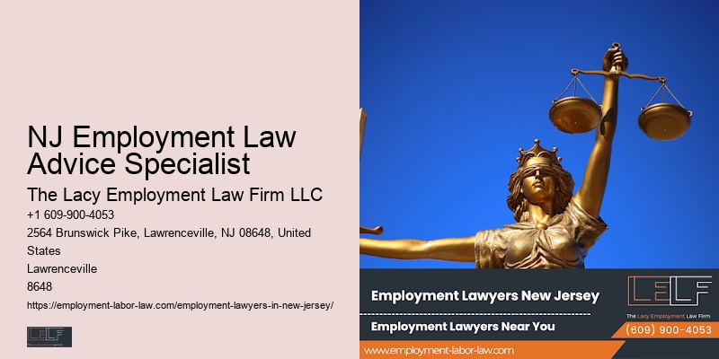 NJ Employment Law Advice Specialist Workplace Legal Advice