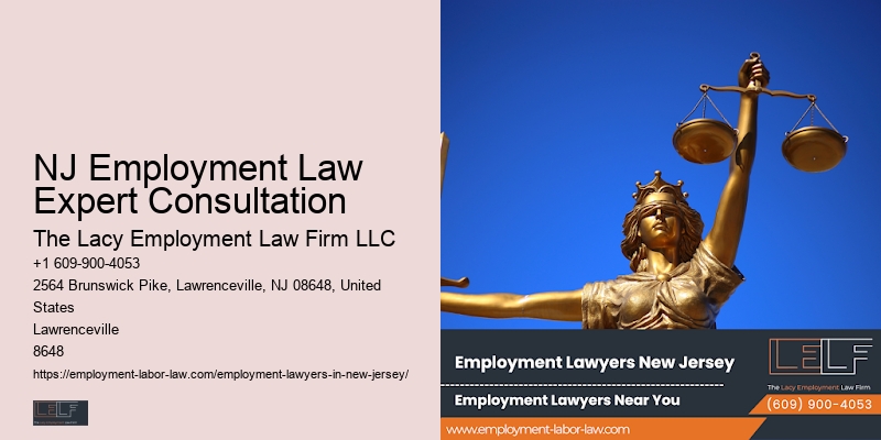 NJ Employment Law Expert Consultation Job Rights Attorney