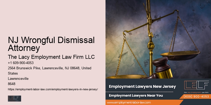 NJ Employment Litigation Expert