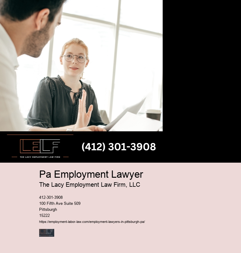 Employment Lawyer