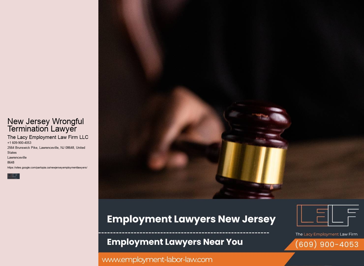 NJ Employment Litigation Expert