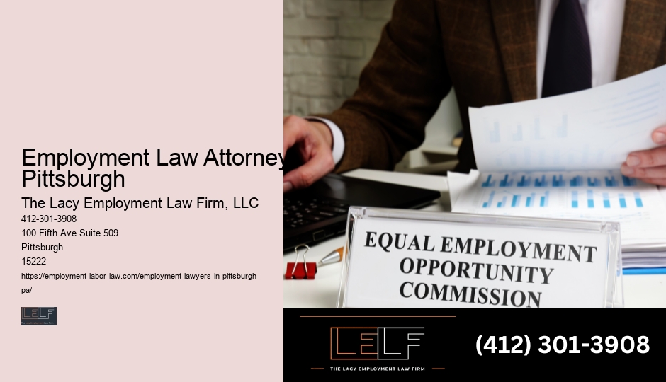 Pittsburgh Employment Law Findings
