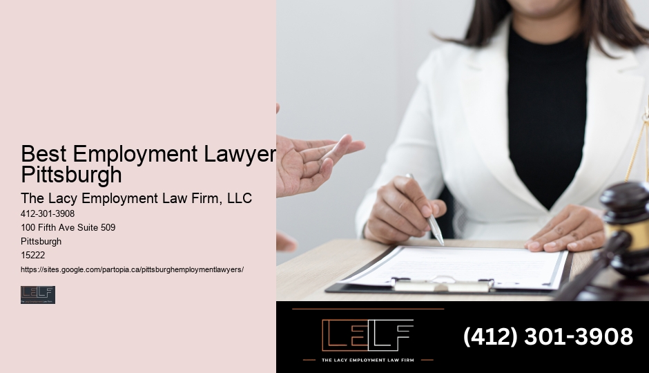 Employment Solicitor