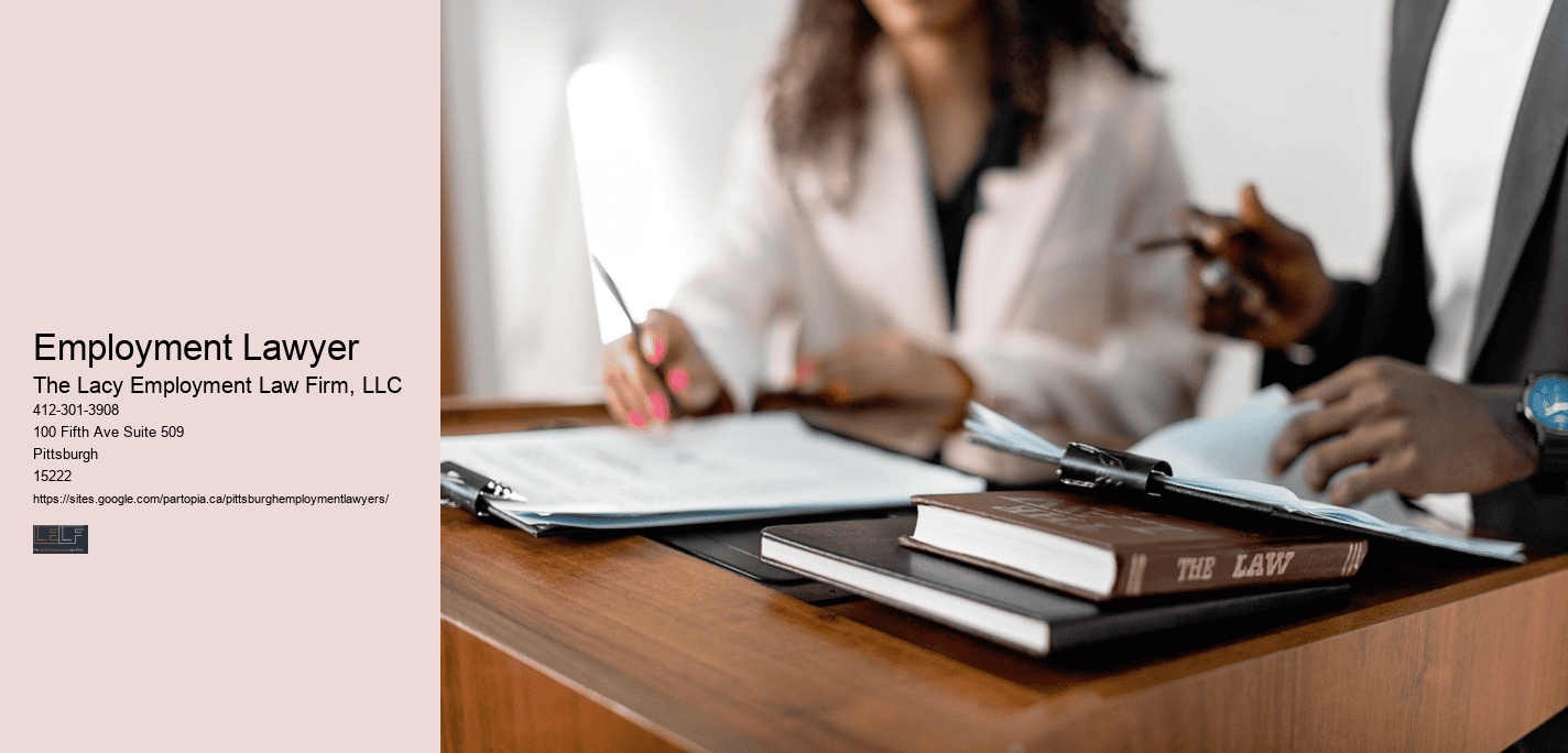 Employment Lawyer