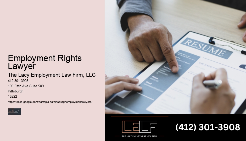 Employment Litigation Lawyer Pittsburgh