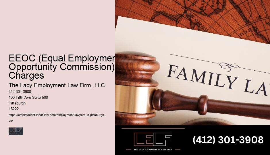 Pittsburgh Employment Rights Lawyer