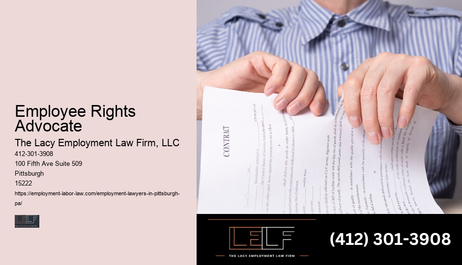 Workplace Investigations