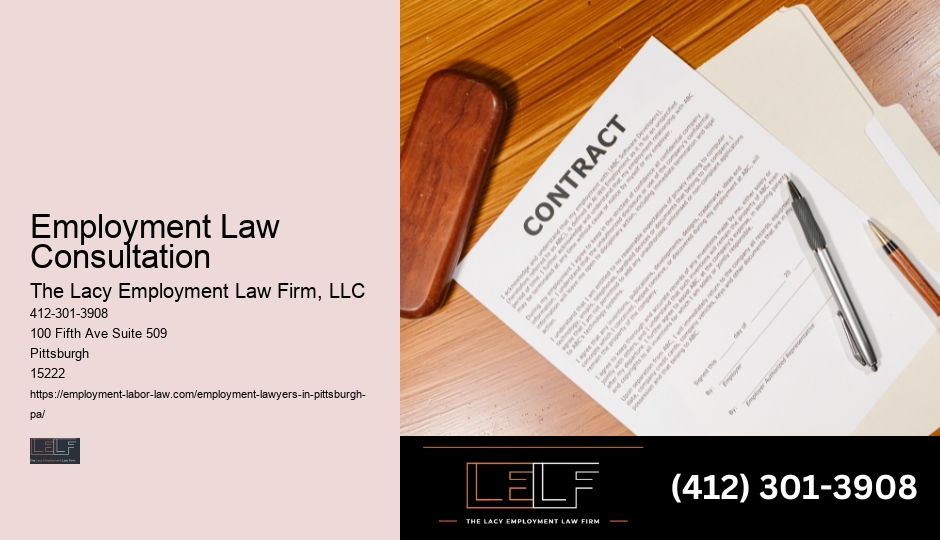 Premier Employment Legal Representation